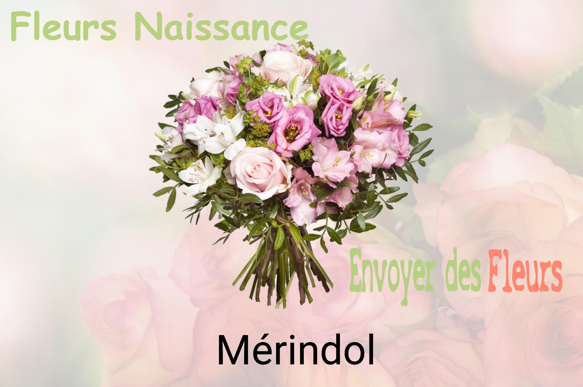 Bouquet de fleurs de naissance livré à Mérindol